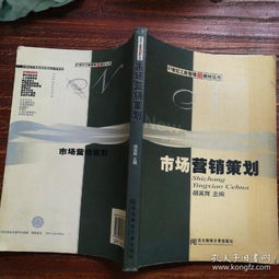 市場營銷策劃 從策略藍(lán)圖到執(zhí)行落地的全流程指南